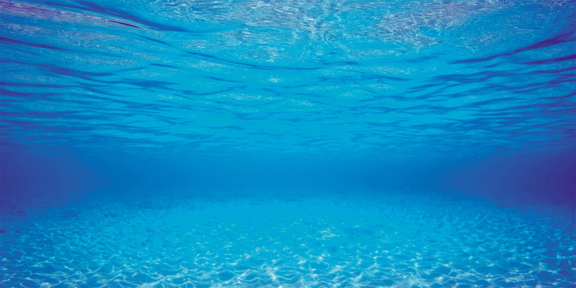 JUWEL Rückwände JUWEL Aquarienrückwand Unterwasserwelt L