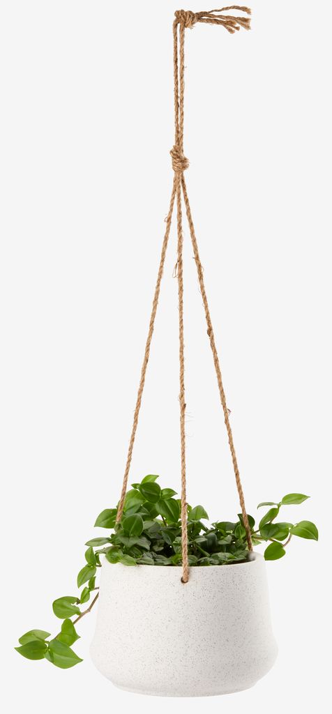 Felsentaube Ampel floral Felsentaube Ø15xH12 natur