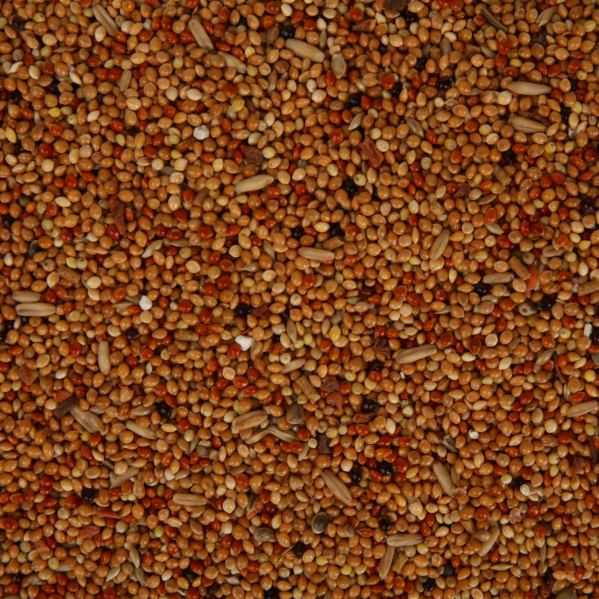 Vitakraft Sittich-Perle mit Vita Herbs kaufen