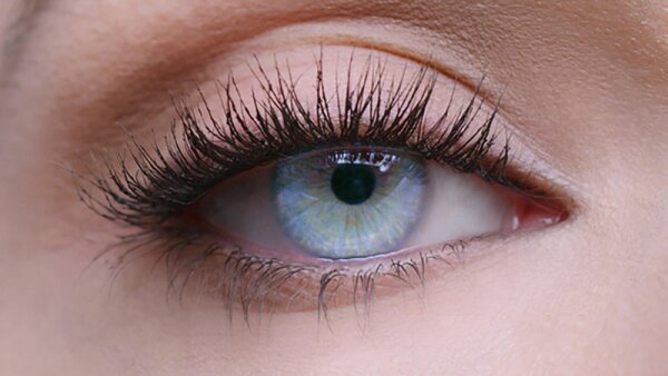 Maybelline Lash Sensational Full Fan Effect Mascara