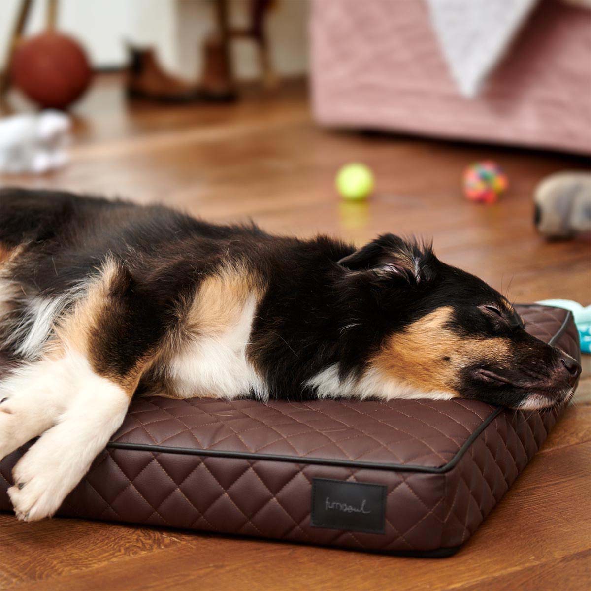 furrysoul orthopädisches Hundekissen Juana braun bei ZooRoyal