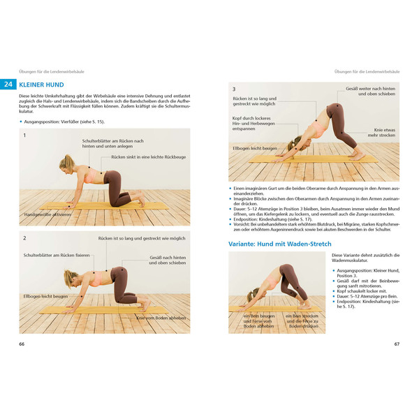 Yoga für Kletterer und Bergsportler - Klettertraining