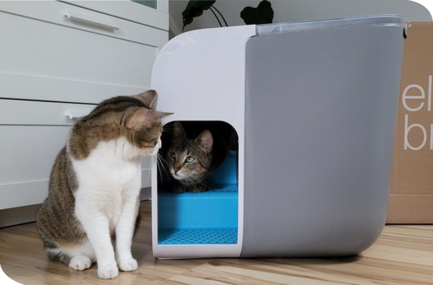 elly&bruce Katzentoiletten elly&bruce Katzentoilette Cloou