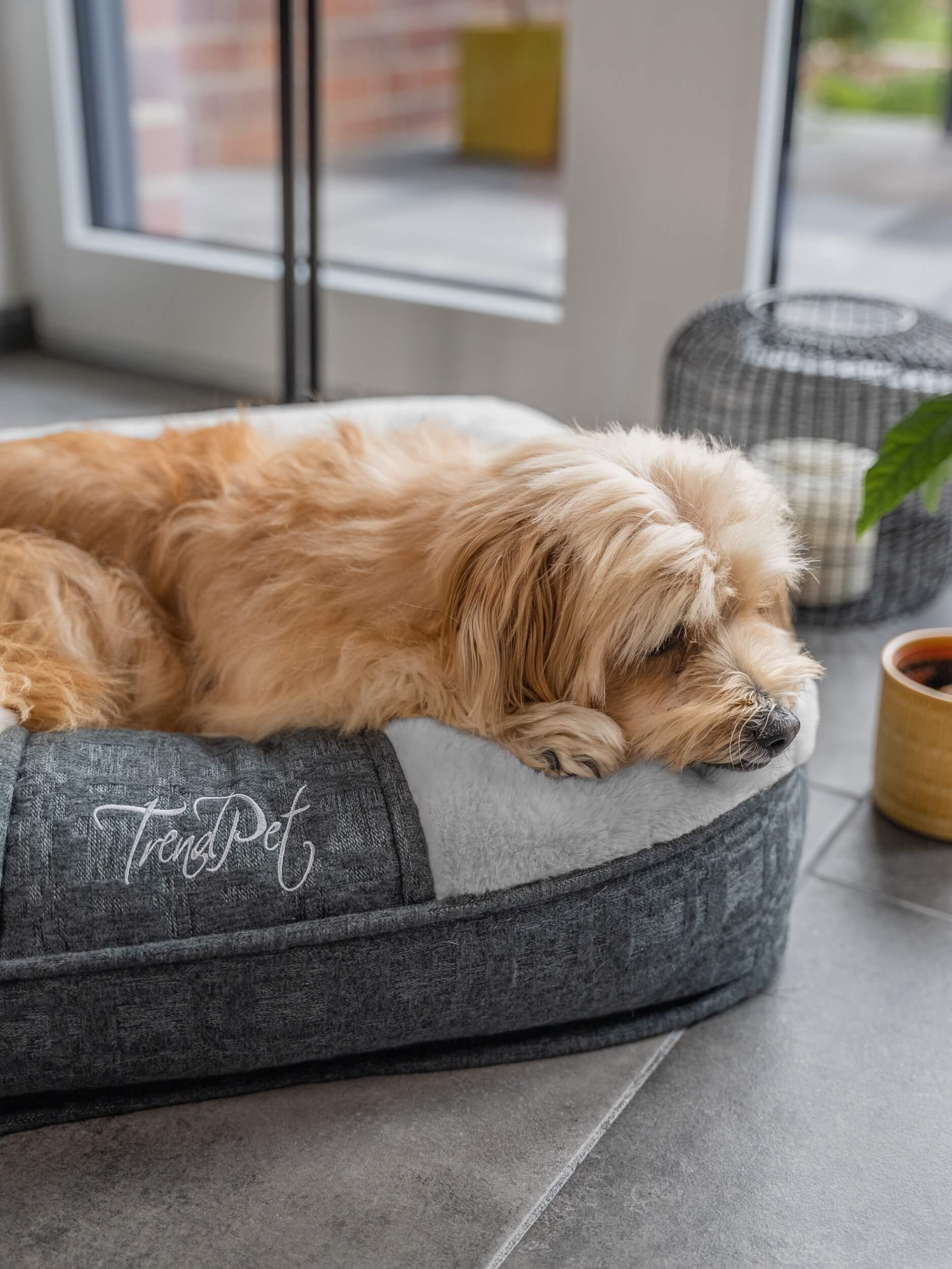 TrendPet Hundebetten TrendPet LunaLounge Hundebett grau S