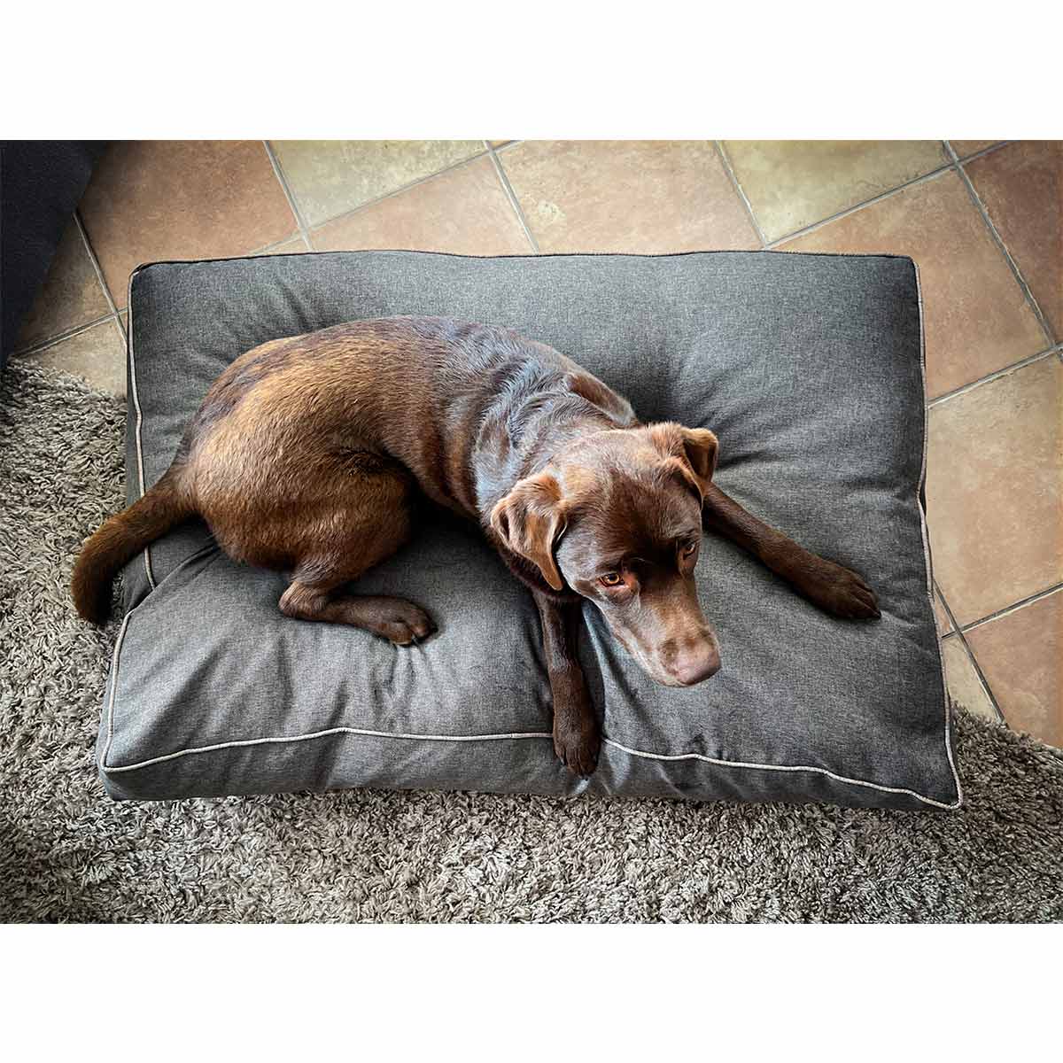 Aumüller Hundebett Basic Line Braun günstig kaufen bei ZooRoyal