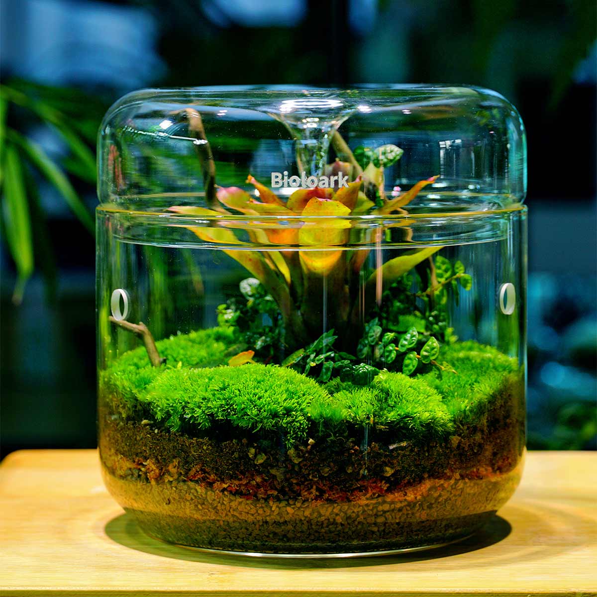 Bioloark Luji Glass Cup MY-120 günstig kaufen