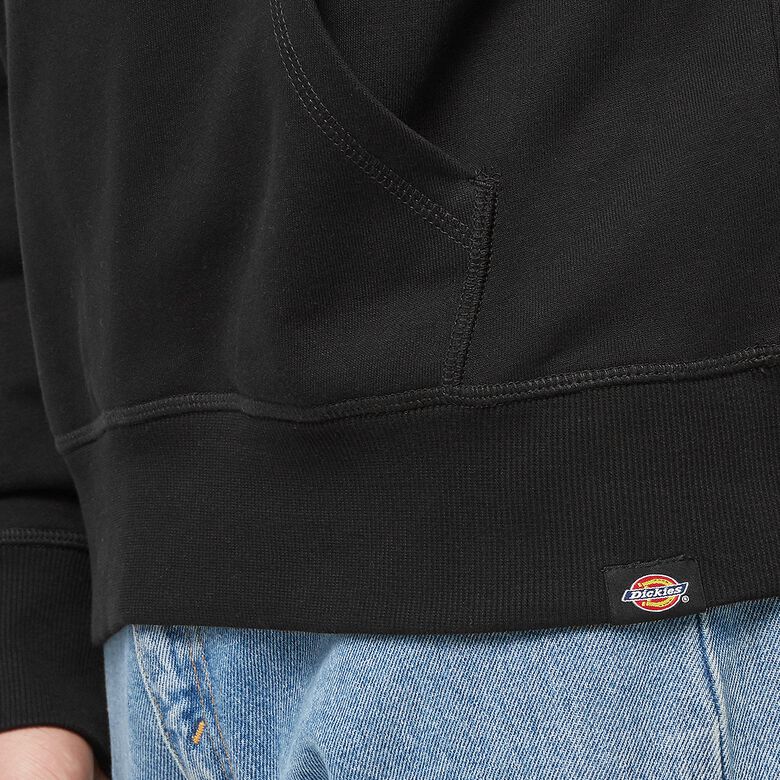 Dickies Millersburg Hoodie black Black