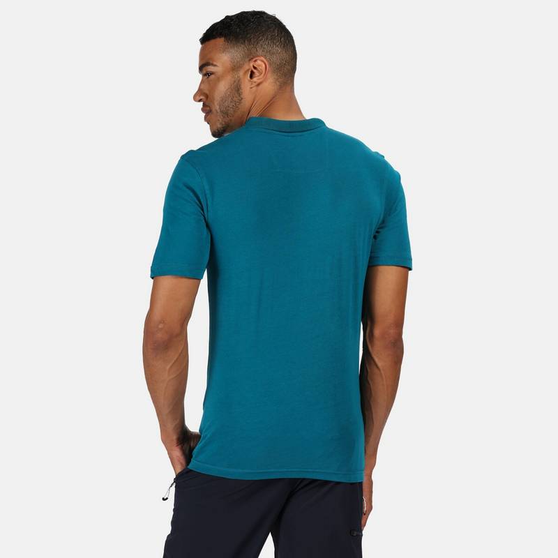 Regatta Sinton Poloshirt Herren
