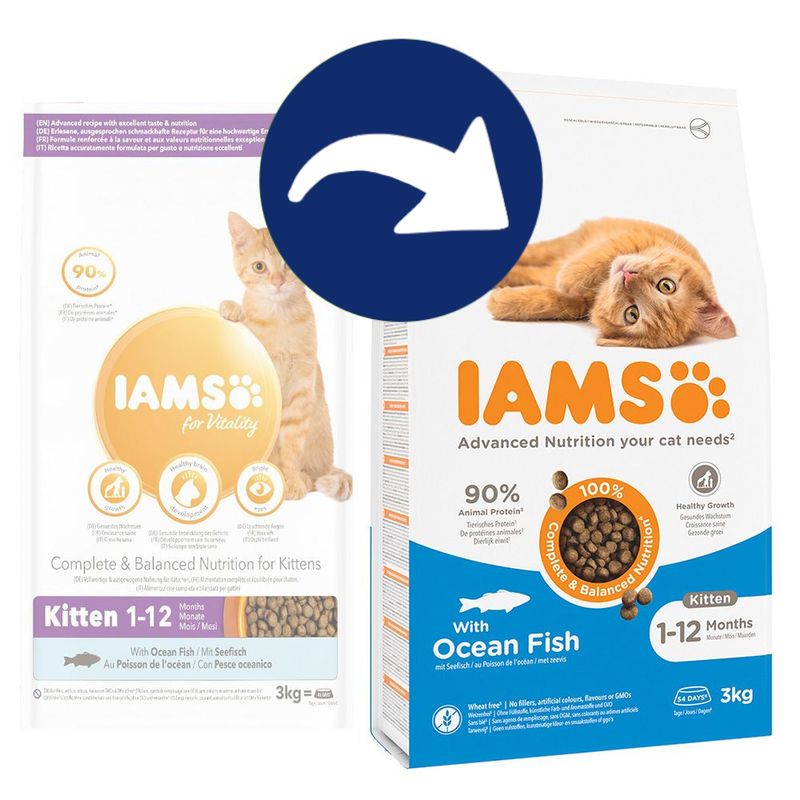 IAMS Advanced Nutrition Kitten mit Meeresfisch