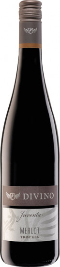 2022 Juventa Merlot trocken - Divino eG