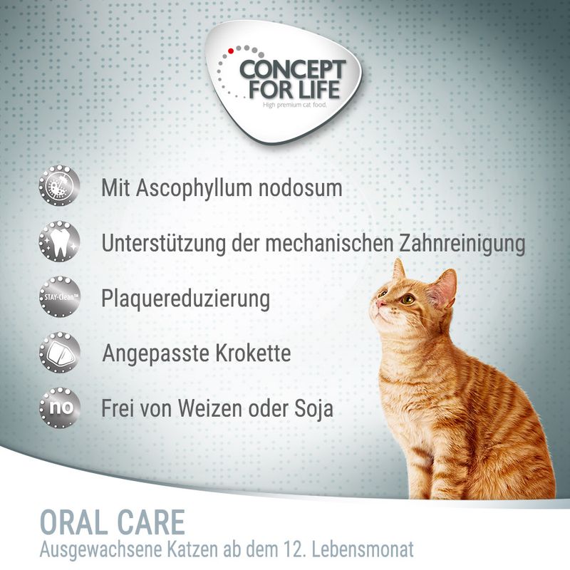 Concept for Life Oral Care zu TOP-Preisen