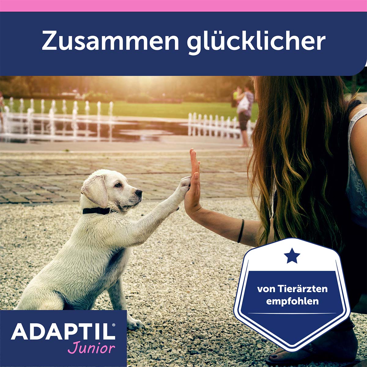 Adaptil Junior Halsband günstig kaufen bei ZooRoyal