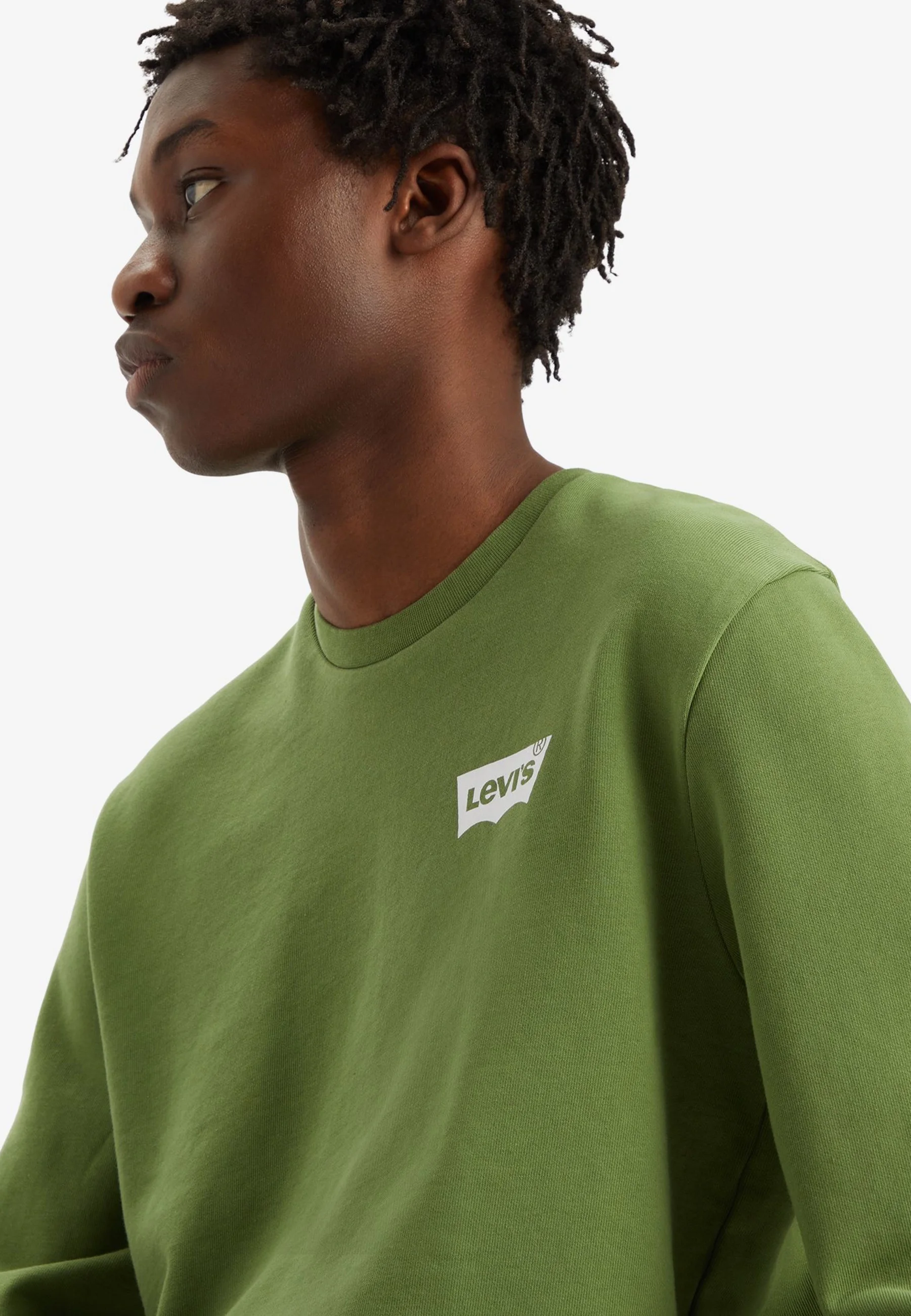 Sudadera Levi's® STANDARD GRAPHIC CREW