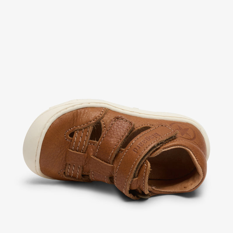 hana cognac - Braun