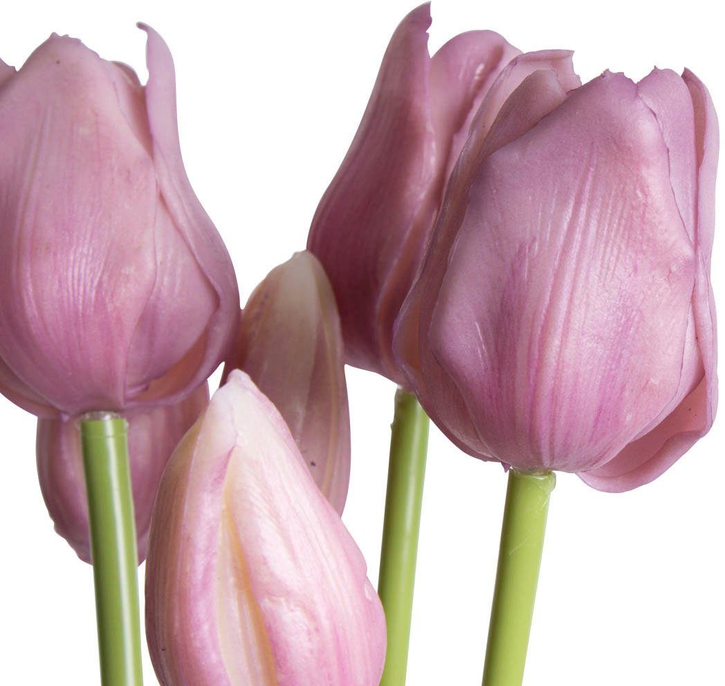 Kunstpflanze Maiva Tulpe, my home, Höhe 47 cm, Tulpenbündel im 7er-Set