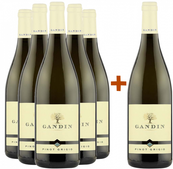 5+1 Pinot Grigio Paket - Gandin