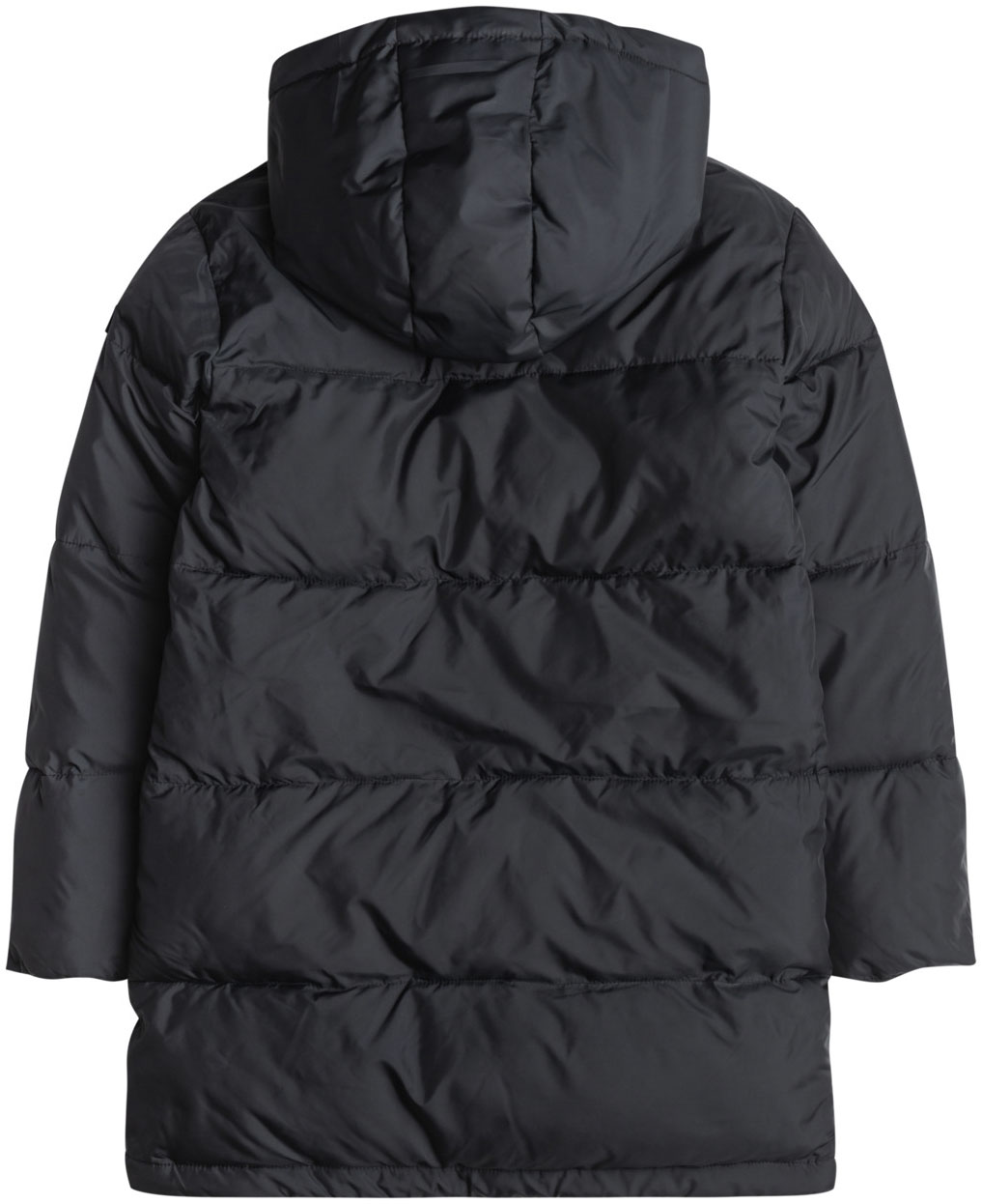 Winter Jacket