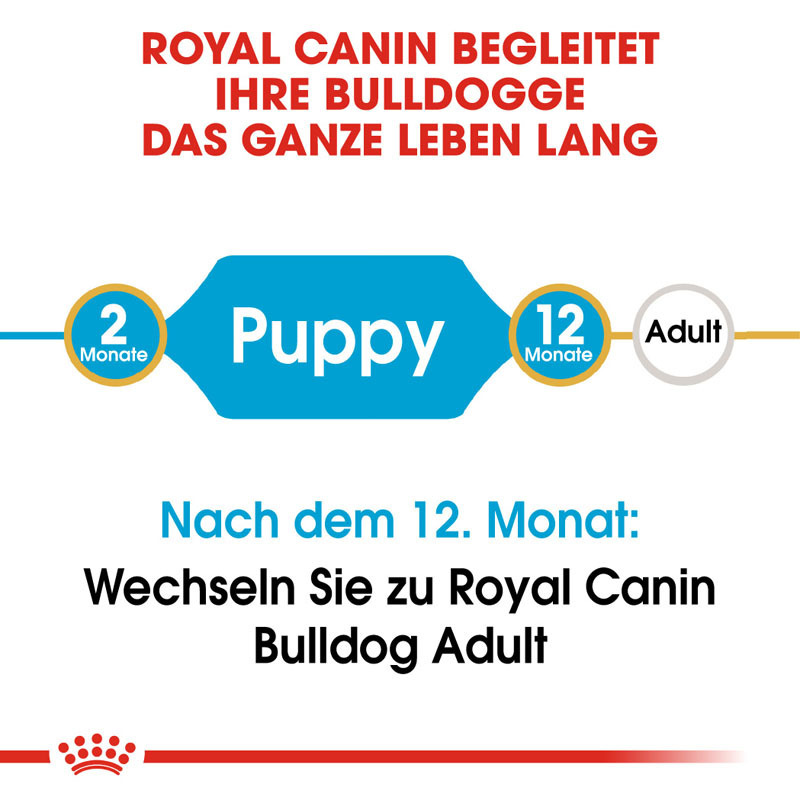 ROYAL CANIN Hundetrockenfutter ROYAL CANIN Bulldog Puppy 3 kg