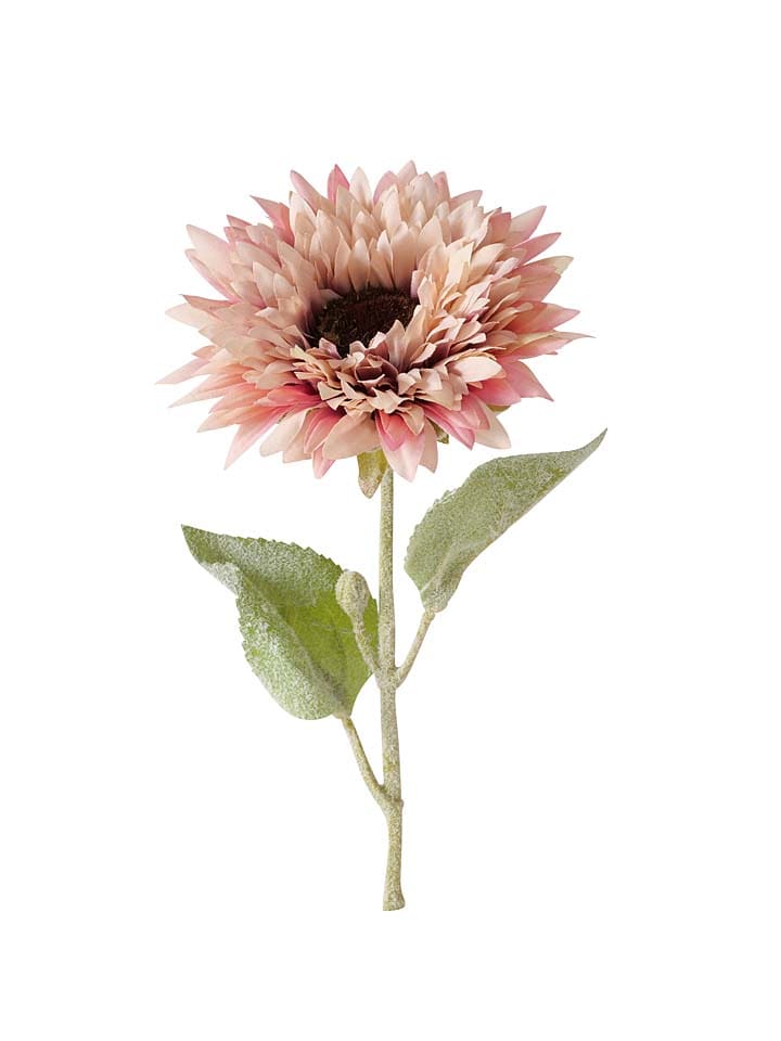 Boltze Kunstblume 