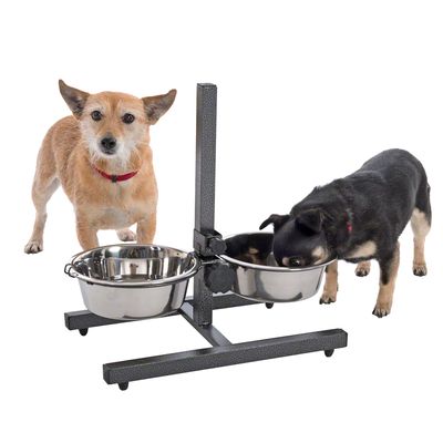 Hundebar inklusive 2 Edelstahlnäpfe