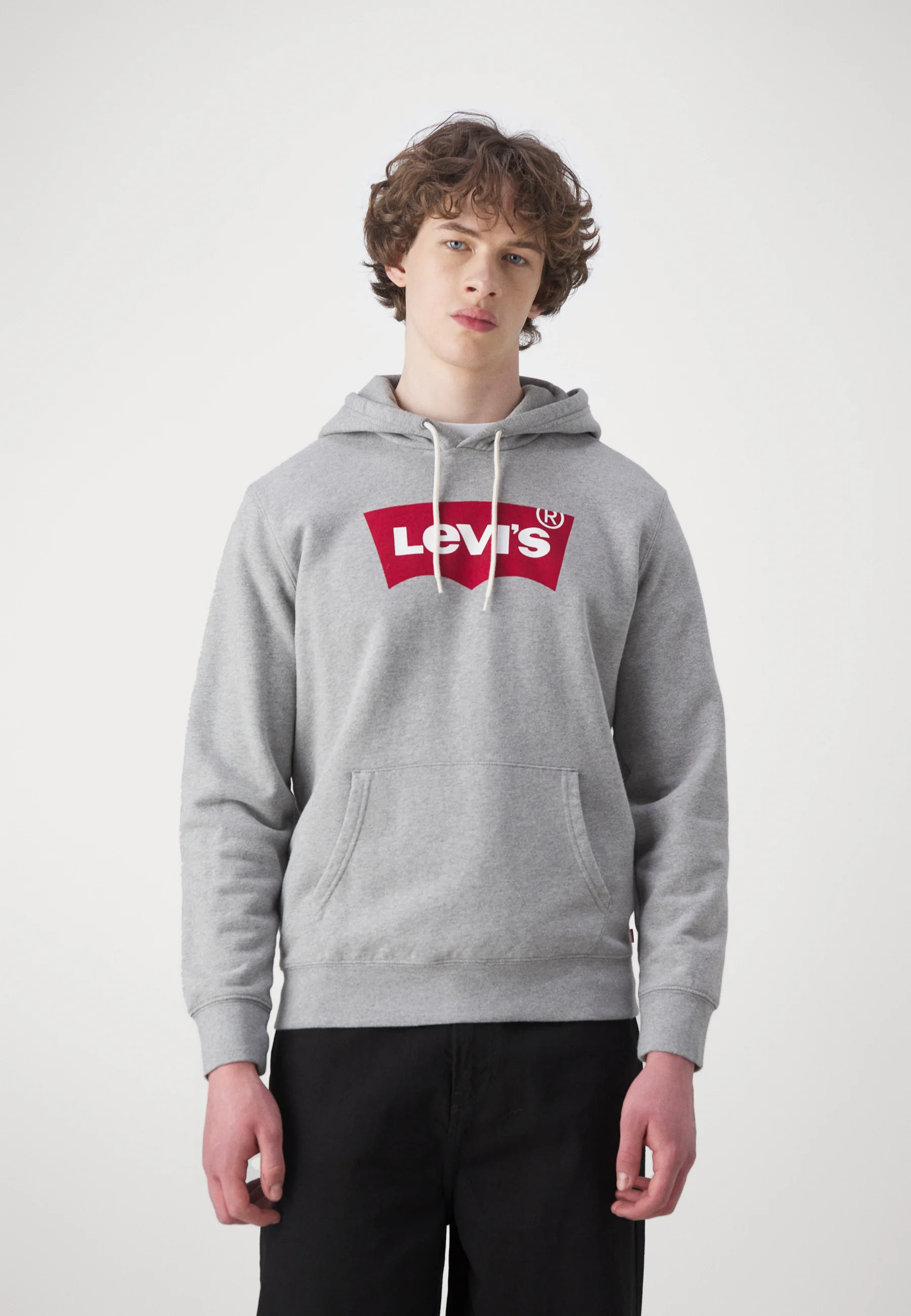 Sudadera con capucha Levi's® STANDARD GRAPHIC - Sudadera con capucha