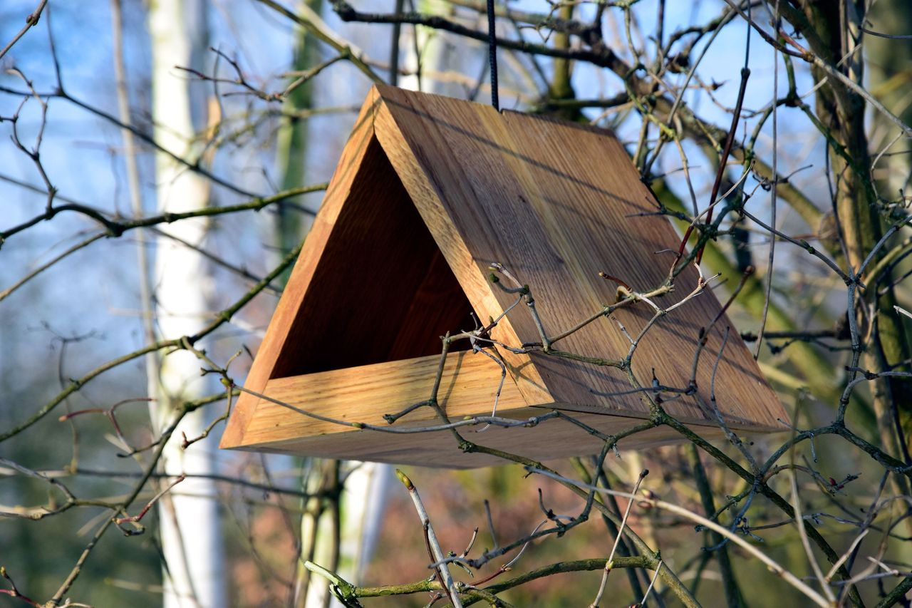 Luxus-Vogelhaus Futterspender, Eiche Dreieckig