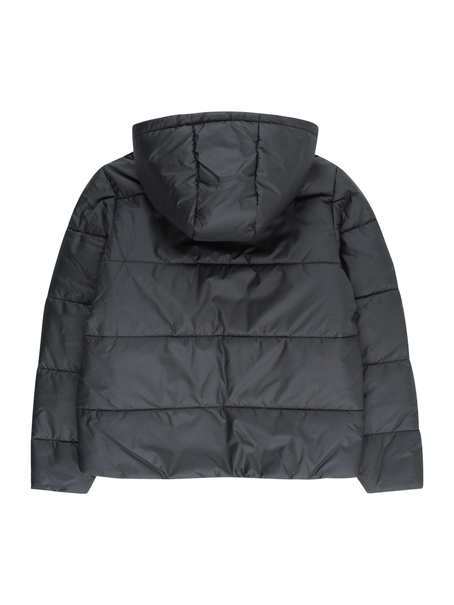 Winter Jacket 'Norris'