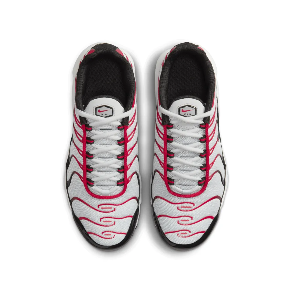 Nike Air Max Plus CD0609-027 / grau