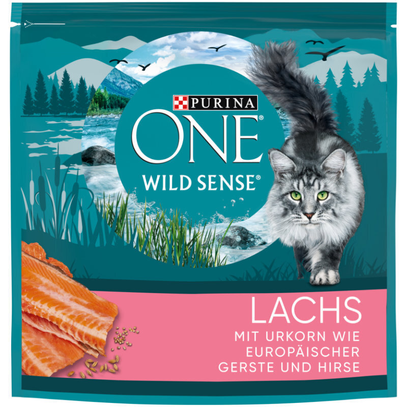 Purina ONE Trockenfutter Purina ONE Wild Sense Reich an Lachs 400 g