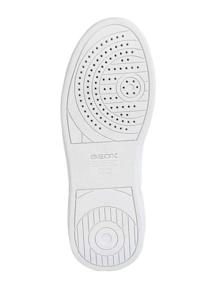 Geox Sneakers 