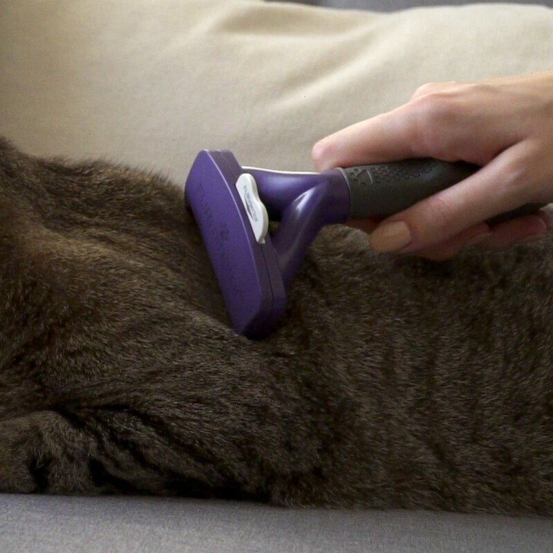 FURminator Fell- & Körperpflege FURminator Katze M-L Kurzhaar