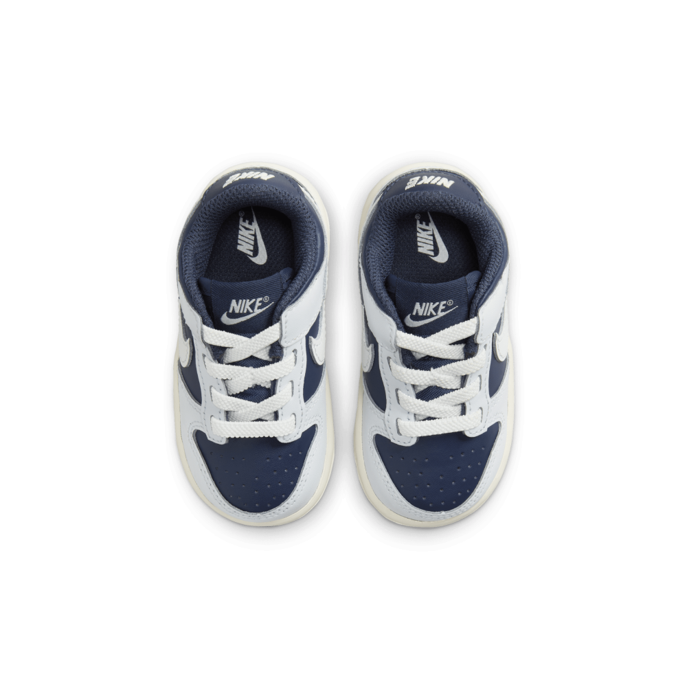 Nike Dunk Low FB9107-002 / grau