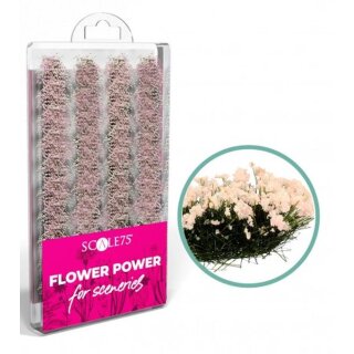 Scale75: Flower Power - Pink