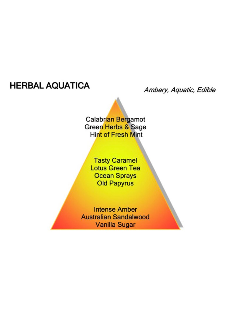 Apa de parfum Montale Herbal Aquatica
