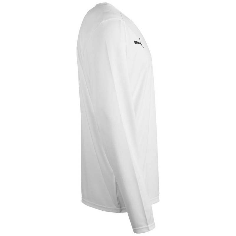 PUMA Hoops Team Langarmshirt Herren