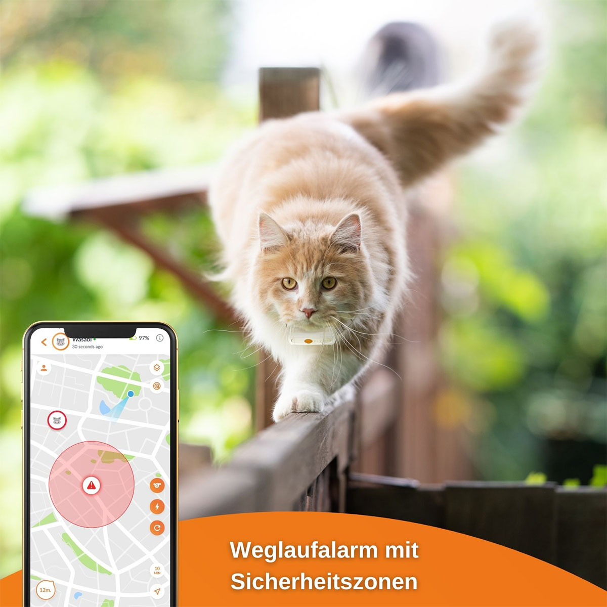 Weenect XS GPS Tracker für Katzen günstig kaufen