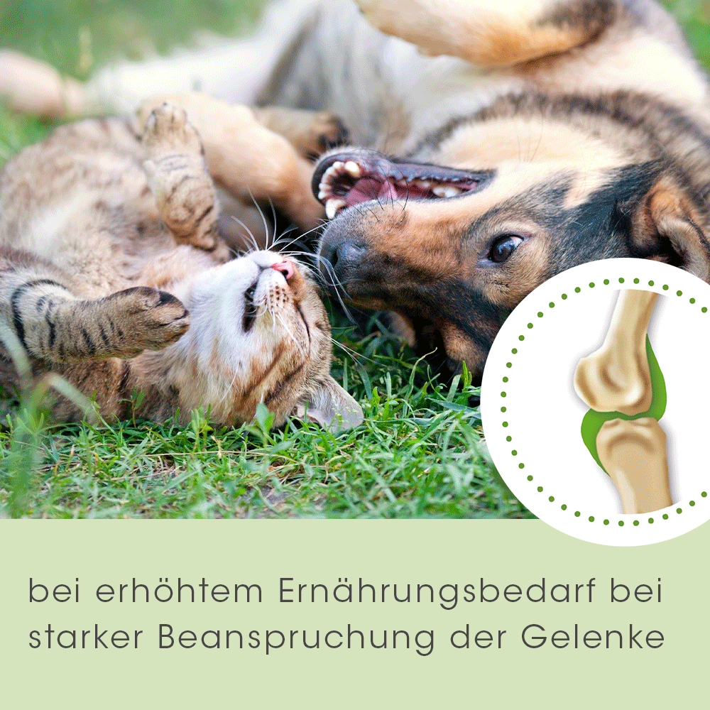 ArthroGreen Ergänzungsfutter & Aufzucht ArthroGreen Classic 700 g