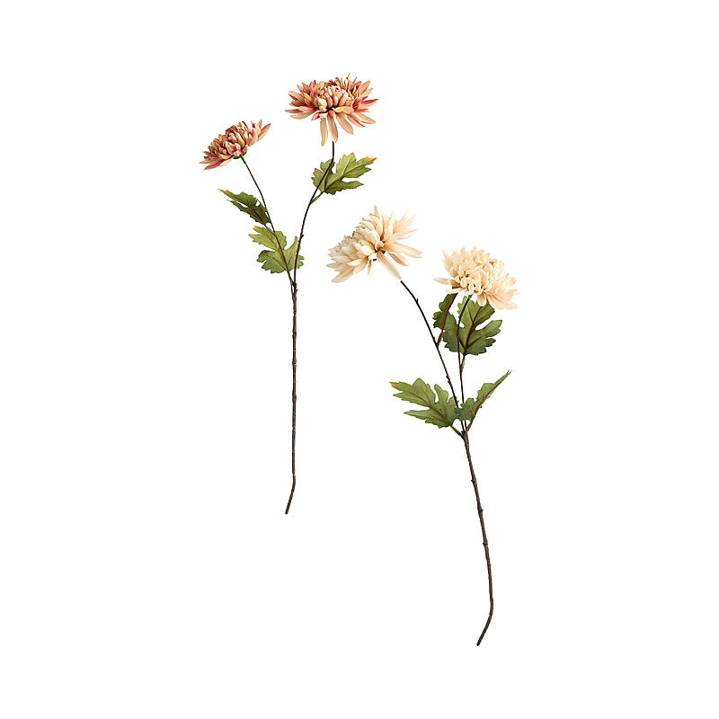 Home Krysantemum 56 cm duo