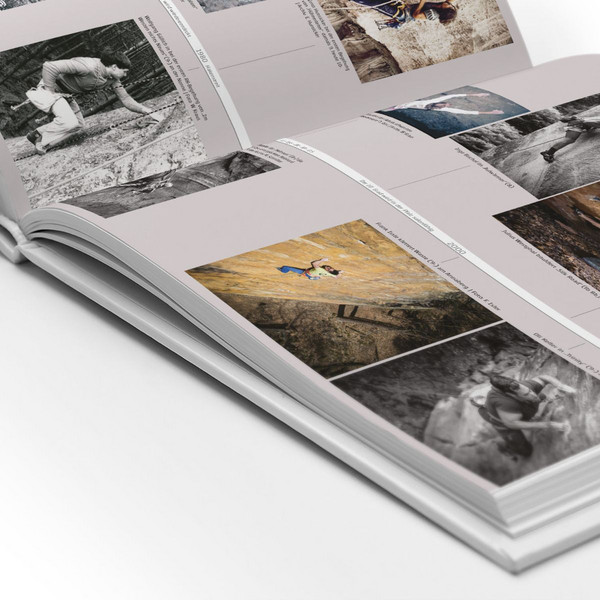 DIE PFALZ - DAS BUCH