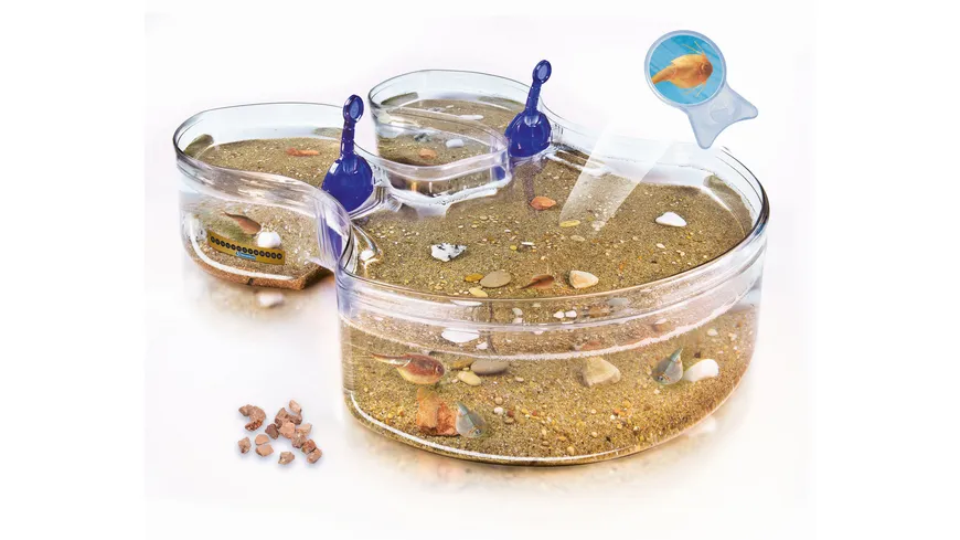 Clementoni - Galileo - Original Triops Maxi de Luxe