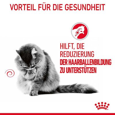 Royal Canin Hairball Care in Soße