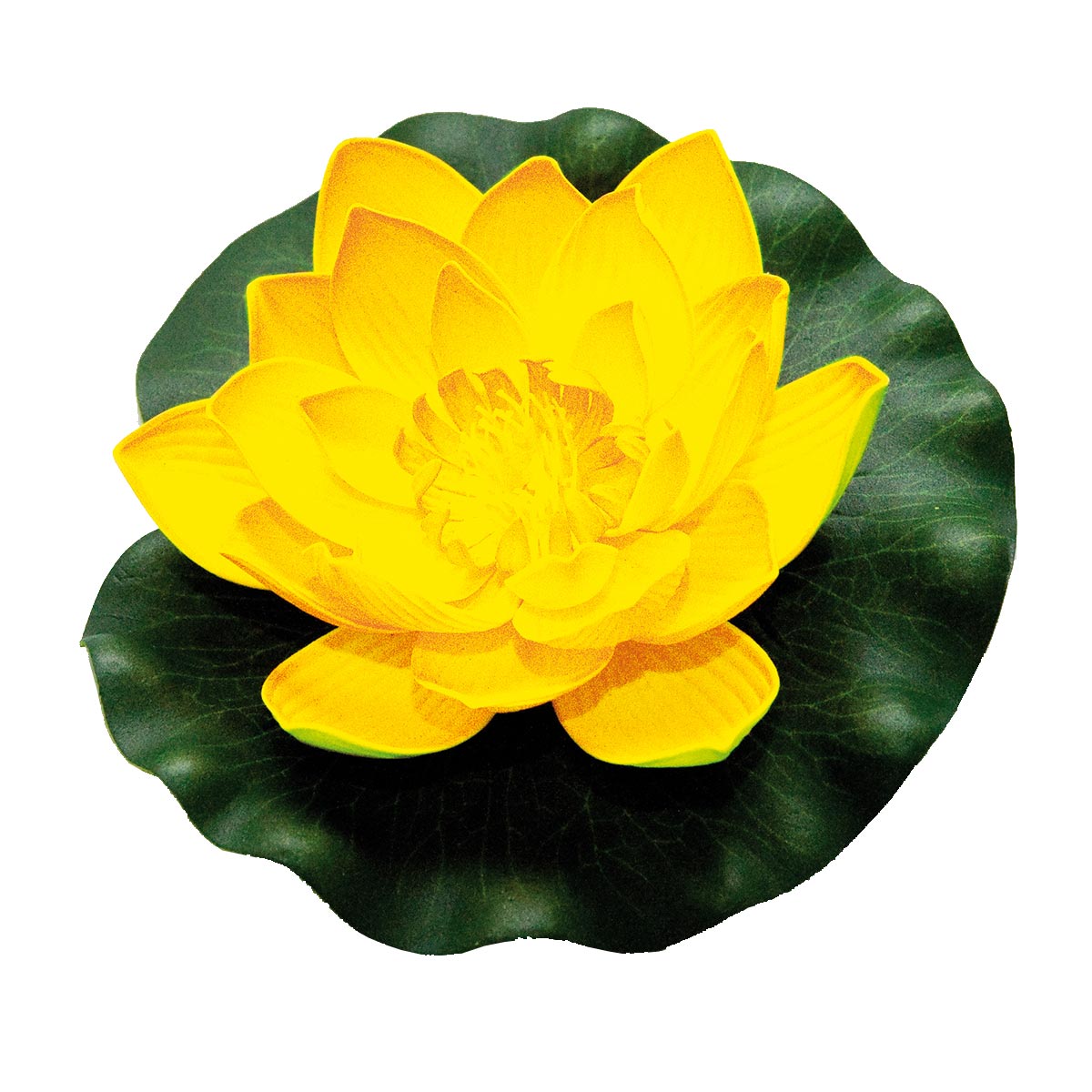 Velda Lotus Foam Yellow günstig kaufen