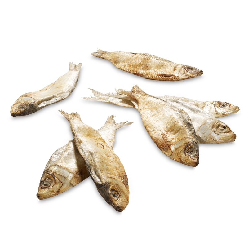 Phil & Sons Kleine Fische