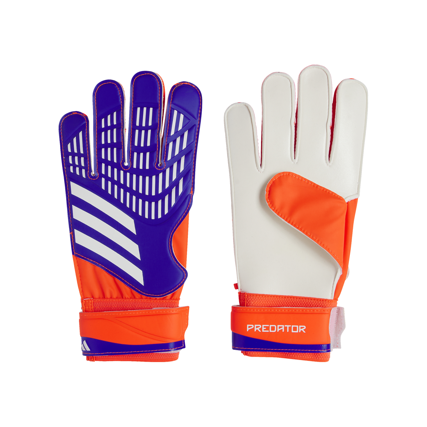 adidas Predator TRN Torwarthandschuhe Blau
