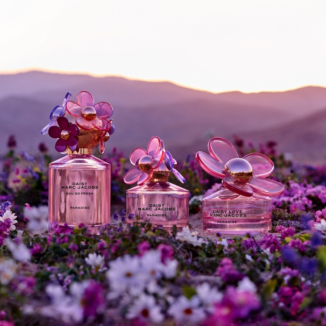 Paradise
