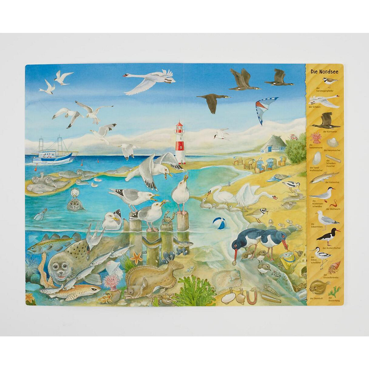 Das Riesen-Meer-Wimmelbuch