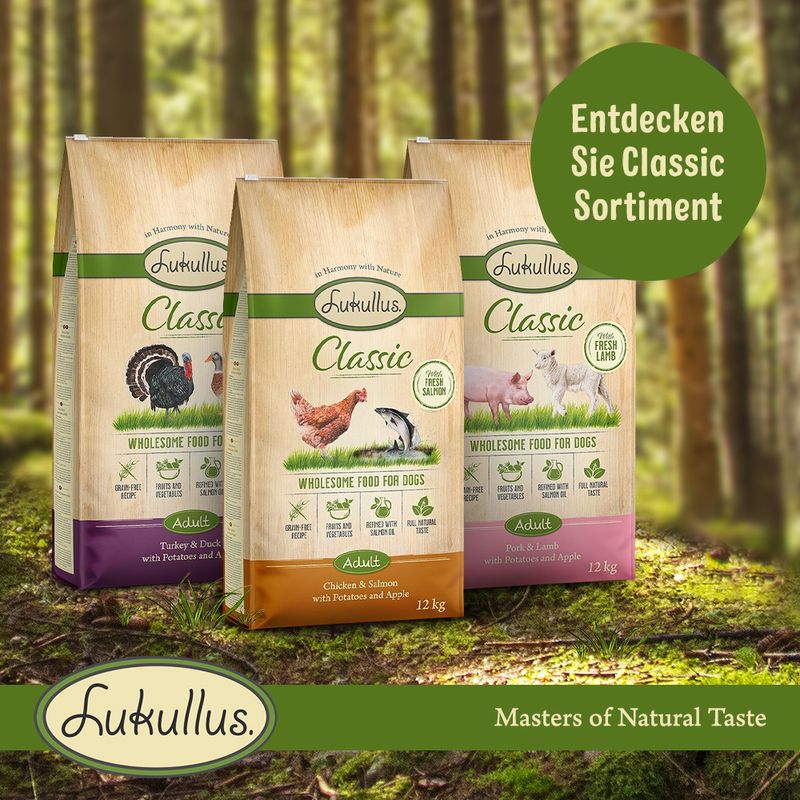 Lukullus Classic Junior Huhn & Lachs (getreidefrei)