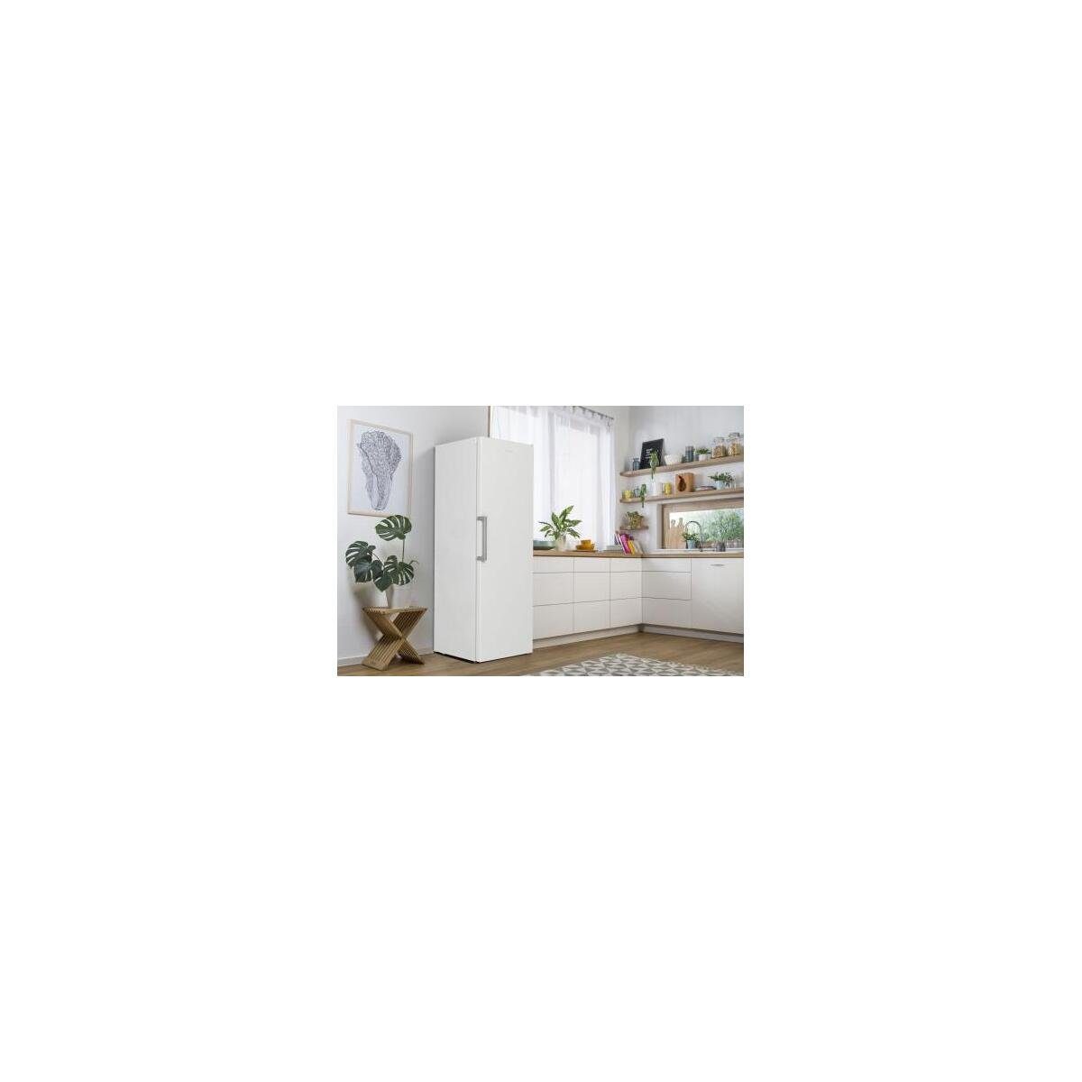 GORENJE Kühlschrank R619EEW5 R619EEW5