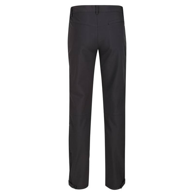 Regatta Geo II Wanderhose Herren