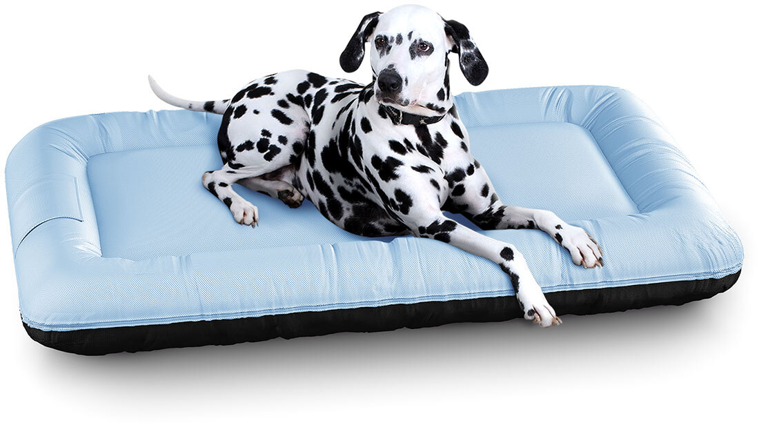 Knuffelwuff Hundematten Knuffelwuff Wasserfestes In und Outdoor Hundebett Lucky Color Edition aus Nylongewebe blau XXL